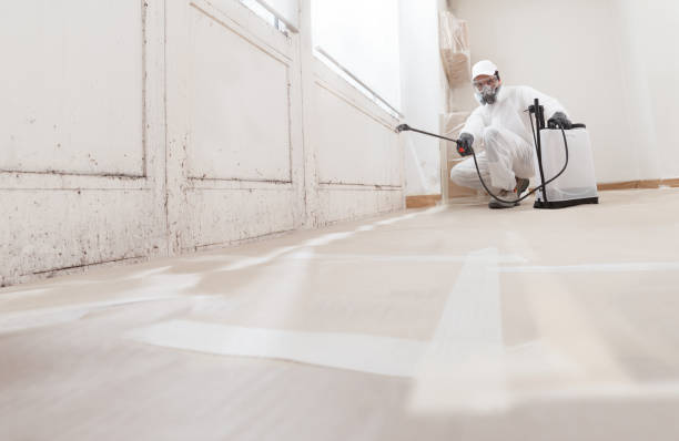24/7 Emergency Mold Remediation experts in Clifton, NJ