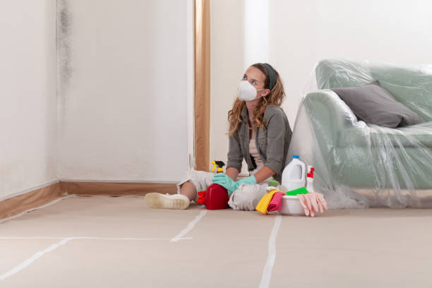 Reliable Mold Remediation contractor in Clifton, NJ by Mold Remediation HQ